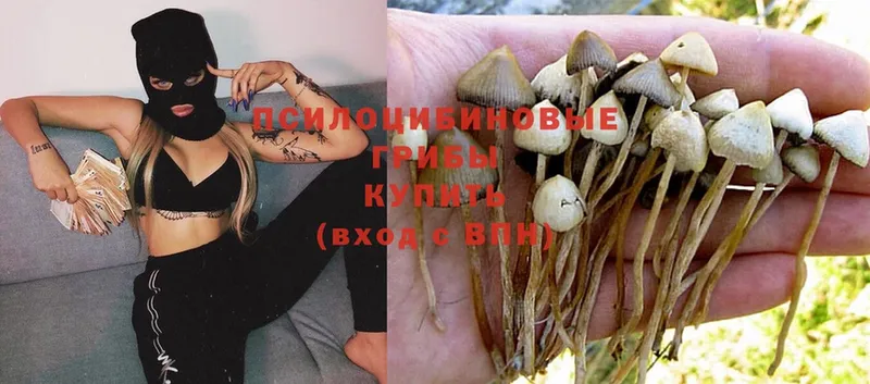 Галлюциногенные грибы MAGIC MUSHROOMS  Рославль 